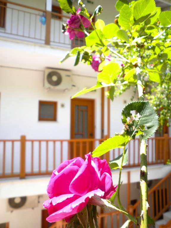 Kostas Studios II Βασιλική Εξωτερικό φωτογραφία