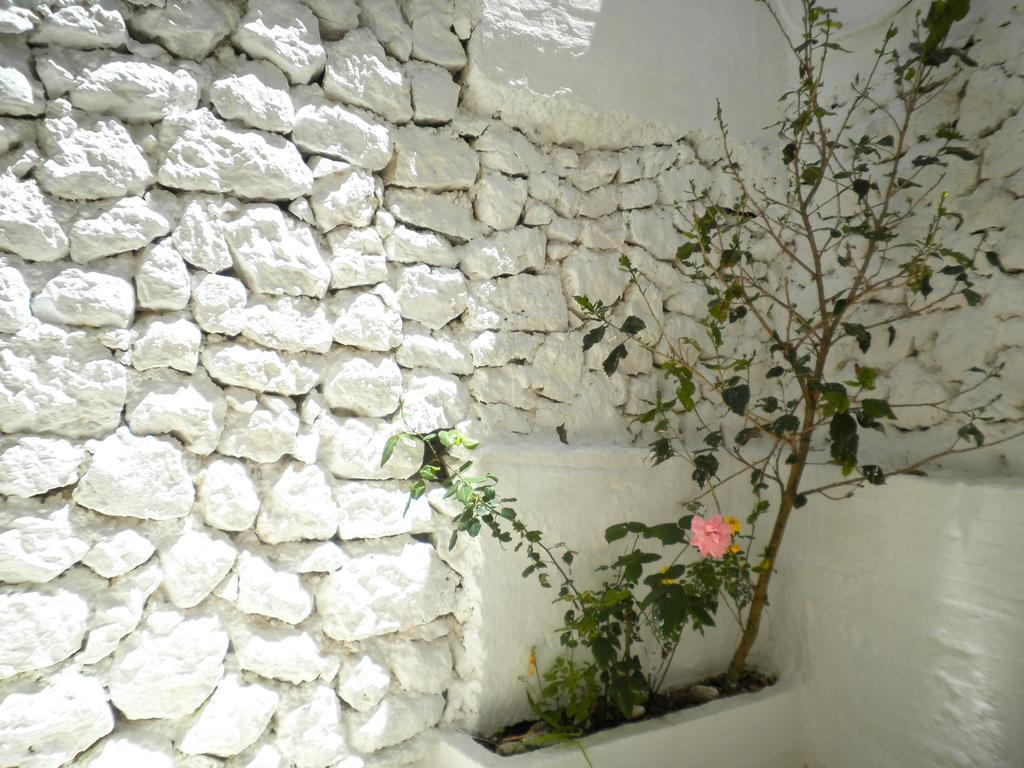 Kostas Studios II Βασιλική Εξωτερικό φωτογραφία
